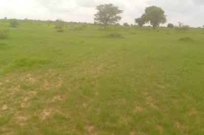 Location d’un Terrain Agricole de 3 hectares ver