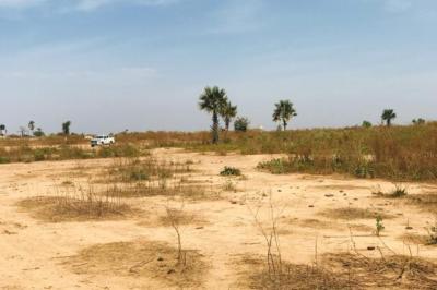 Terrain Agricole de 1,99 hectare vers Notto Diobas