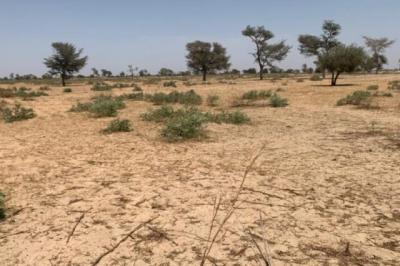 Terrain de 1 hectare vers Khombole