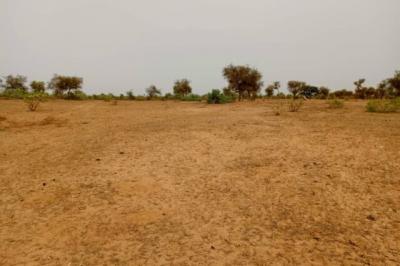 Terrain de 1 hectare vers Khombole