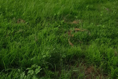 Terrain de 1 hectare vers Notto Diobass