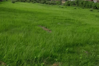 Terrain de 1 hectare vers Notto Diobass