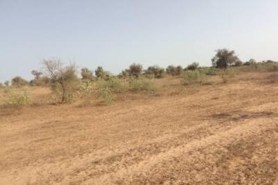 Terrain de 1,01 hectare vers Thiénaba