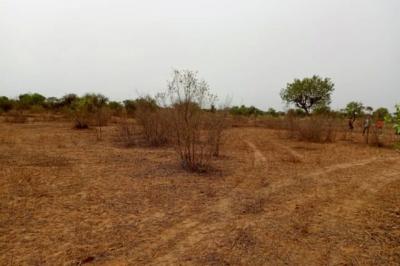 Terrain de 1,01 hectare vers Thiénaba