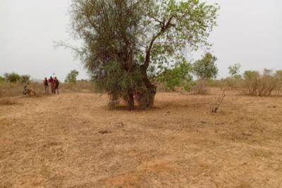Terrain de 1,01 hectare vers Thiénaba