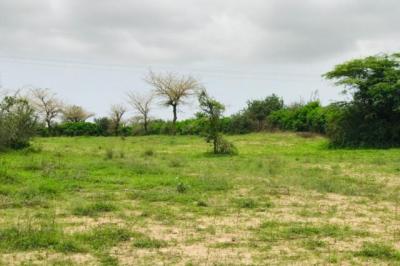 Terrain de 1,02 hectare vers Notto Gouye Diama