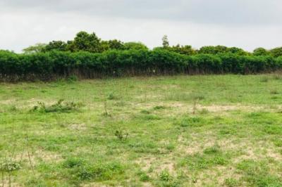 Terrain de 1,02 hectare vers Notto Gouye Diama