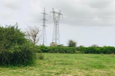 Terrain de 1,02 hectare vers Notto Gouye Diama