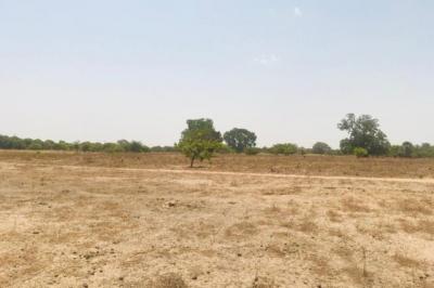 Terrain de 1,04 hectare vers Diossong