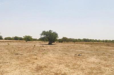 Terrain de 1,04 hectare vers Diossong