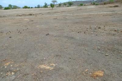 Terrain de 1,04 hectare vers Notto Diobass
