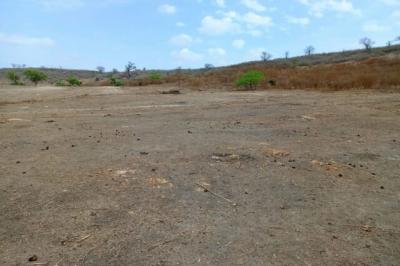 Terrain de 1,04 hectare vers Notto Diobass