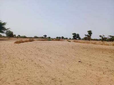 Terrain de 1,05 hectare vers Tassette