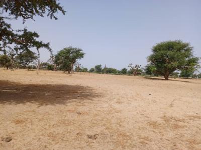 Terrain de 1,05 hectare vers Tassette