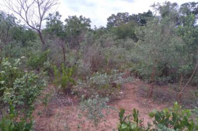 Terrain de 1,06 hectare vers Niama