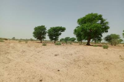 Terrain de 1,06 hectare vers Tassette