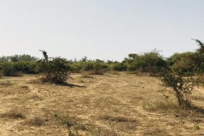 Terrain de 1,06 hectare vers Tassette