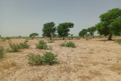 Terrain de 1,06 hectare vers Tassette