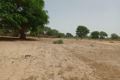 Terrain de 1,06 hectare vers Tassette