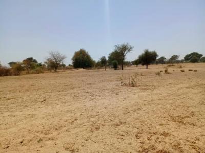 Terrain de 1,08 hectare vers Tassette
