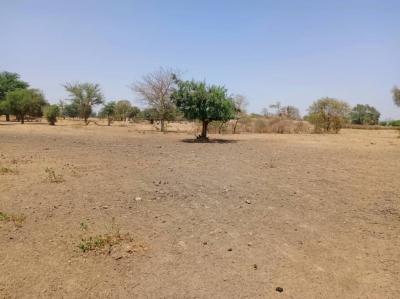 Terrain de 1,08 hectare vers Tassette