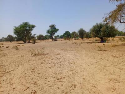 Terrain de 1,08 hectare vers Tassette