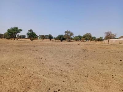 Terrain de 1,08 hectare vers Tassette