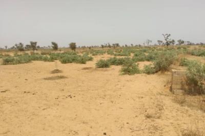 Terrain de 1,09 hectare vers Sindia
