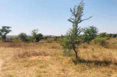 Terrain de 1,11 hectare vers Notto Diobass