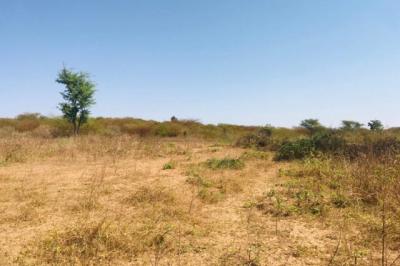 Terrain de 1,11 hectare vers Notto Diobass