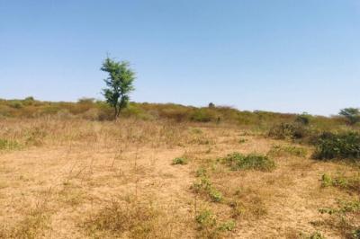 Terrain de 1,11 hectare vers Notto Diobass