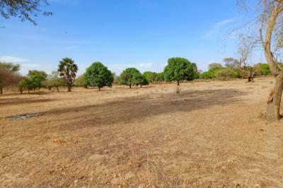 Terrain de 1,11 hectare vers Tassette