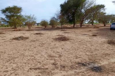 Terrain de 1,11 hectare vers Tassette
