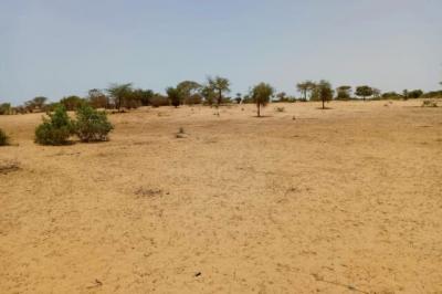 Terrain de 1,14 hectare vers Diokoul Diawrigne