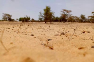 Terrain de 1,14 hectare vers Diokoul Diawrigne