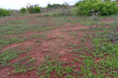 Terrain de 1,16 hectare vers Notto Diobass