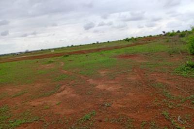 Terrain de 1,16 hectare vers Notto Diobass