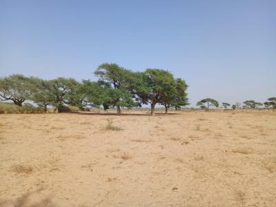 Terrain de 1,18 hectare vers Tassette