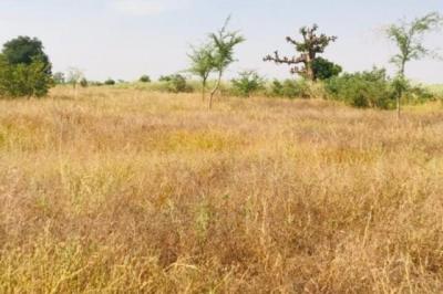 Terrain de 1,18 hectare vers Tassette