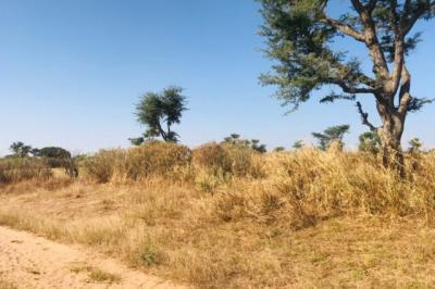 Terrain de 1,21 hectare vers Notto Diobass