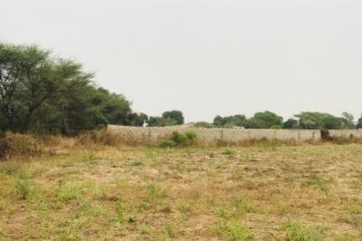 Terrain de 1,26 hectare vers Méouane