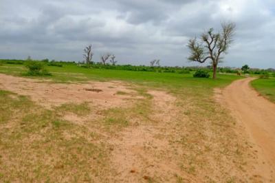 Terrain de 1,27 hectare vers Notto Diobass