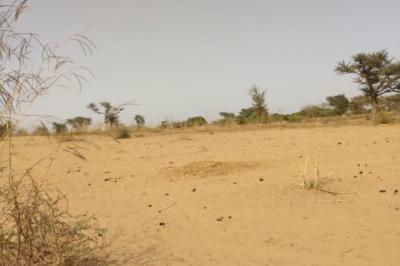 Terrain de 1,27 hectare vers Sindia