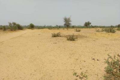 Terrain de 1,28 hectare vers Niakhar