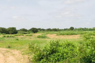 Terrain de 1,28 hectare vers Notto Diobass