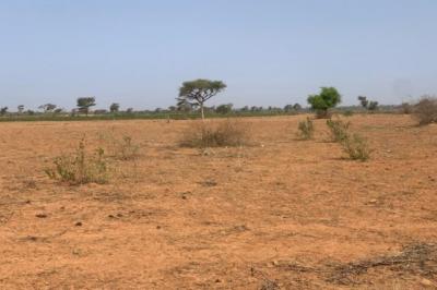 Terrain de 1,30 hectare vers Notto Diobass