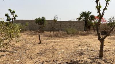 Terrain 323 mètres carrés à vendre à Saly Sén
