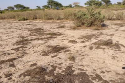 Terrain de 1,32 hectare vers Taïba Ndiaye