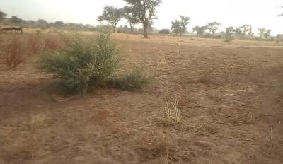 Terrain de 1,34 hectare vers Sindia