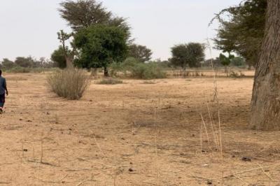 Terrain de 1,37 hectare vers Notto Diobass